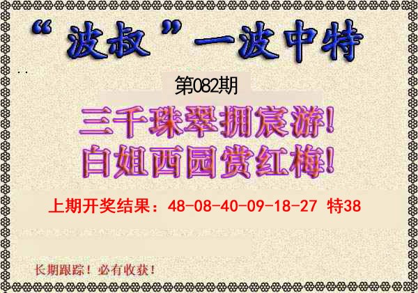 2025082期波叔一波中特