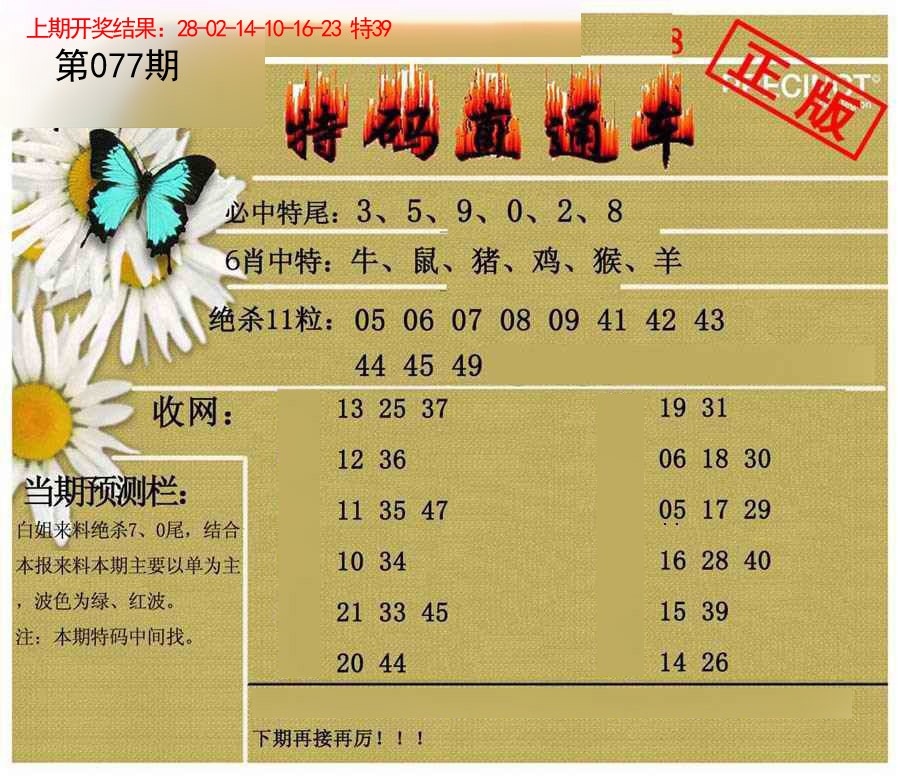 2025077期特码直通车