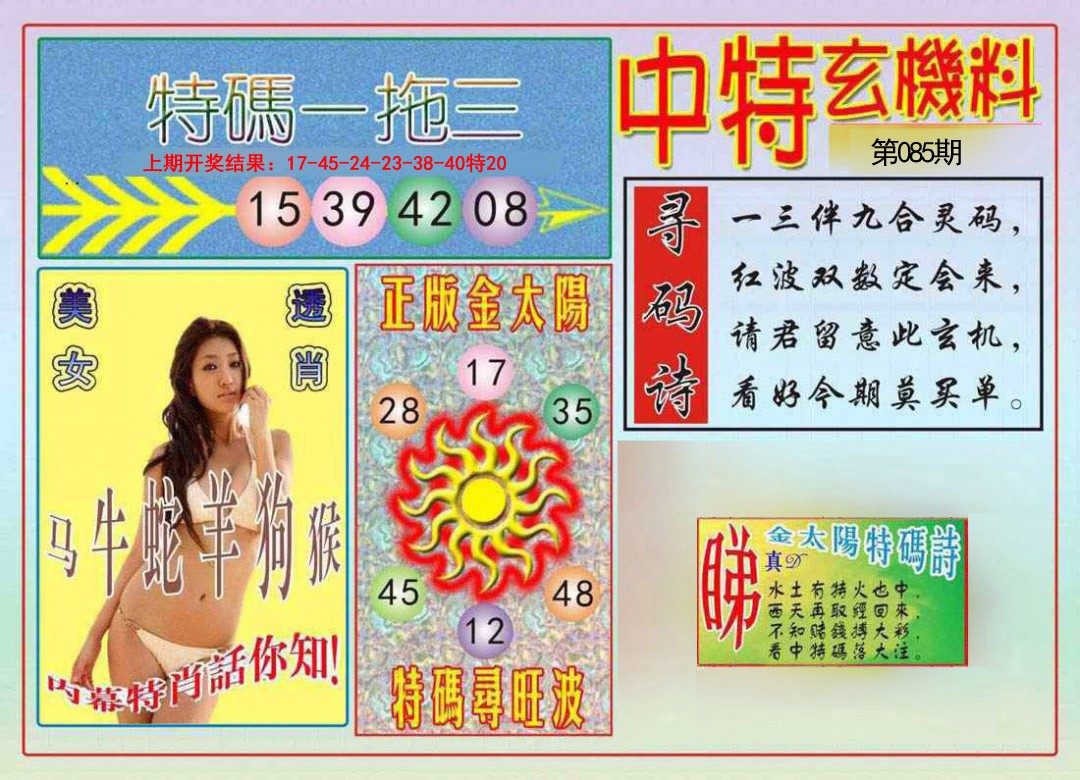 2025085期中特玄机料