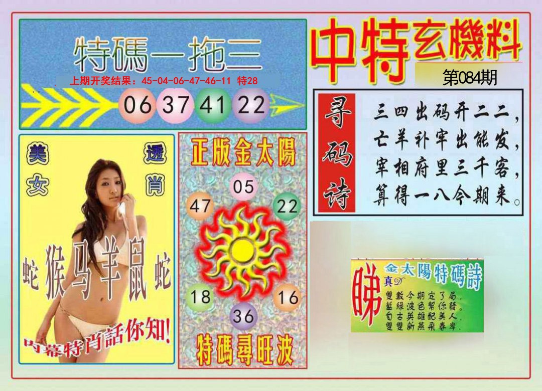 2025084期中特玄机料