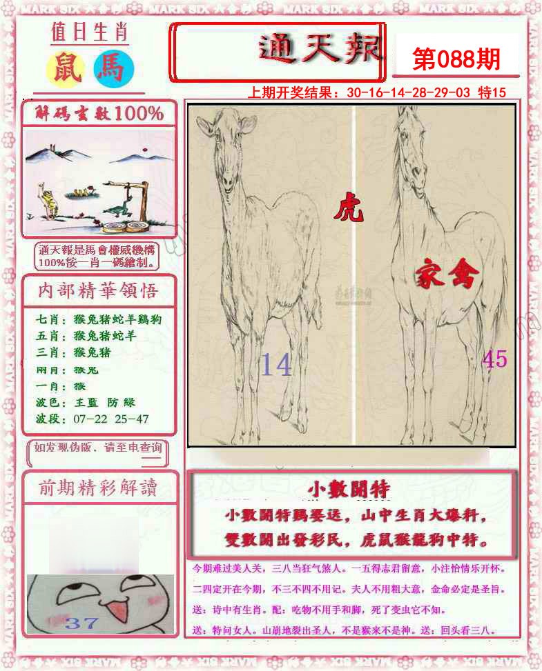 2025088期小喜通天报
