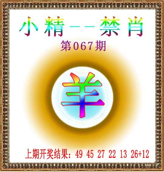 2025067期小精禁肖