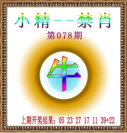 2025078期小精禁肖