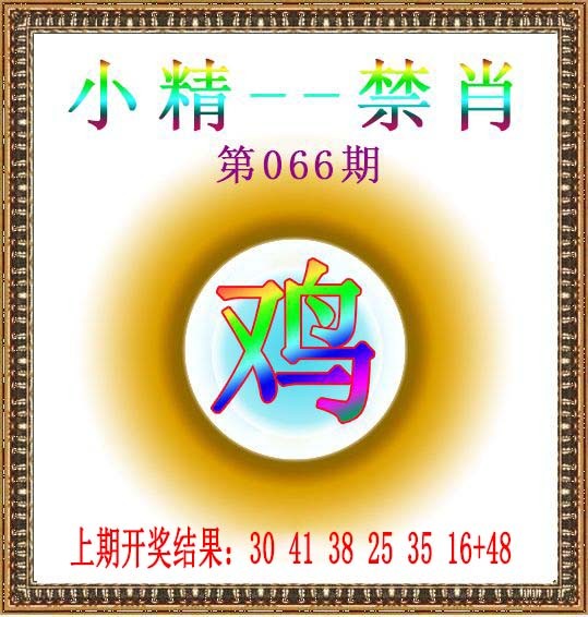 2025066期小精禁肖