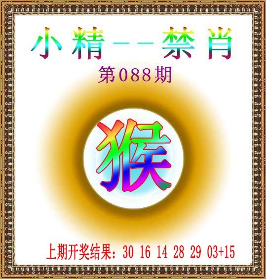 2025088期小精禁肖