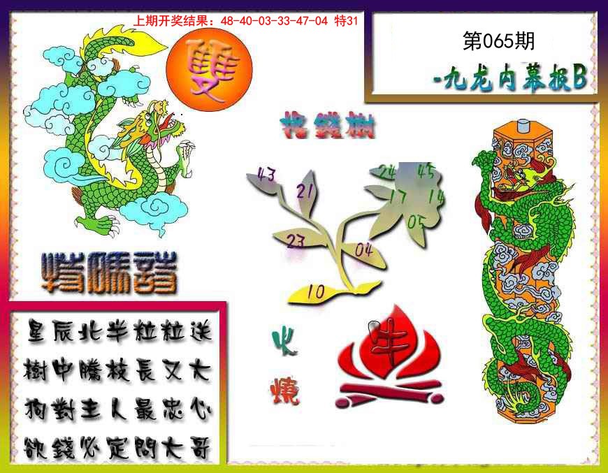 2025065期九龙内幕特肖图a
