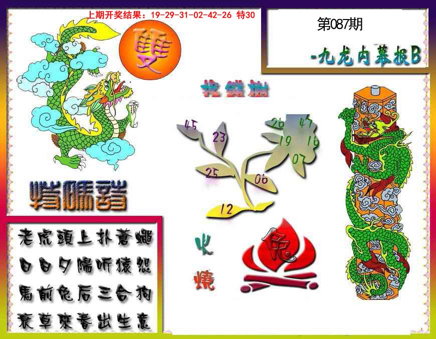 2025087期九龙内幕特肖图a