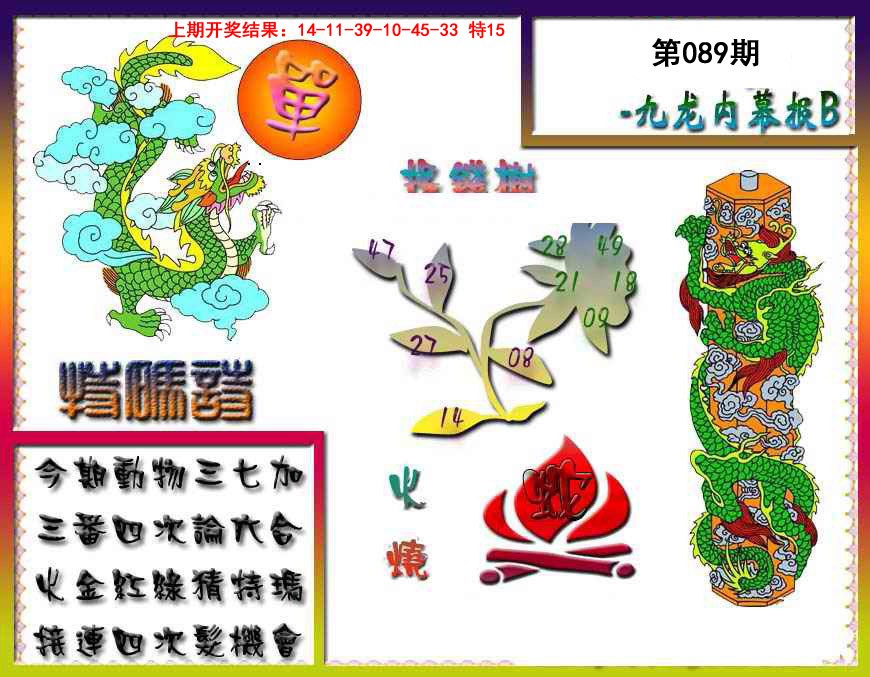 2025089期九龙内幕特肖图a