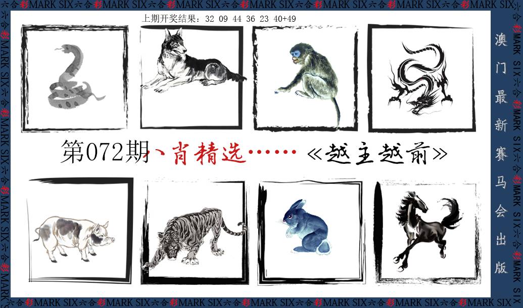 2025072期八肖精选