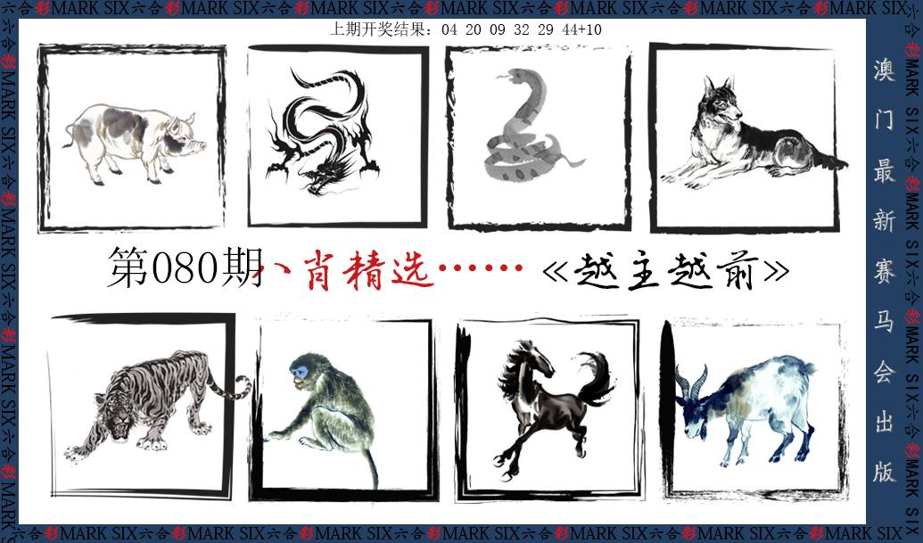 2025080期八肖精选
