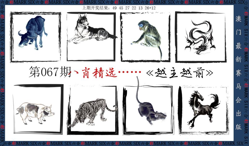 2025067期八肖精选