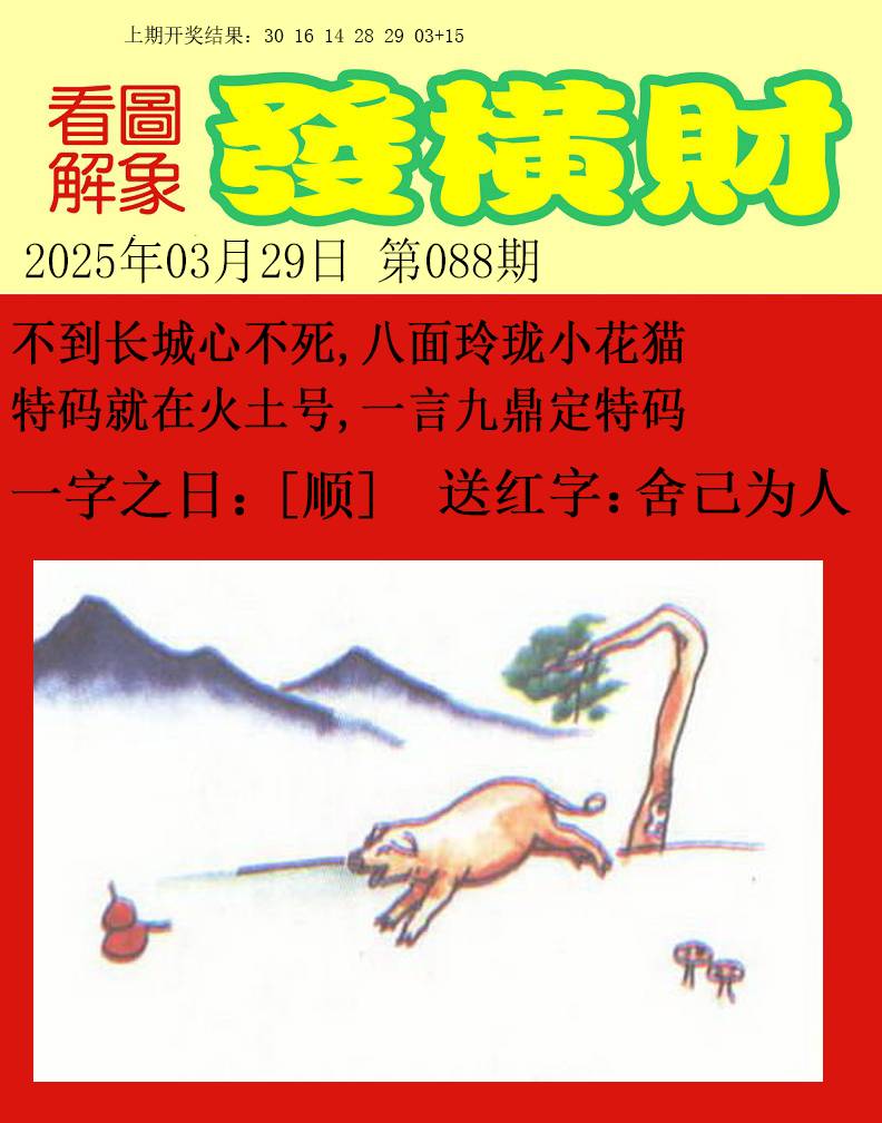 2025088期梦里寻码