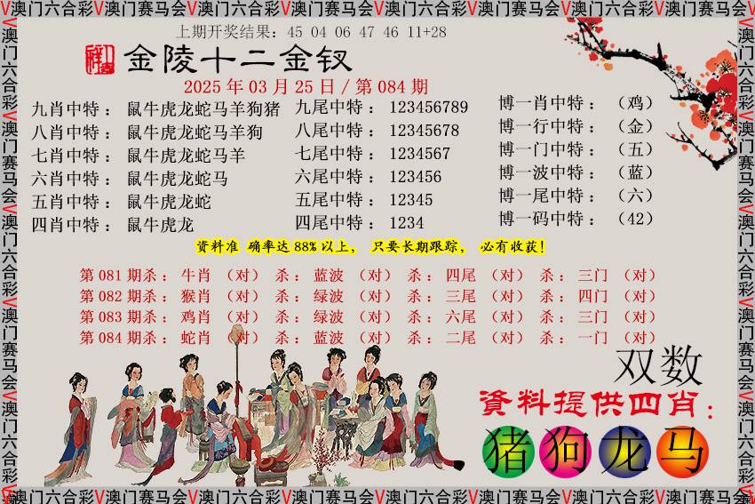 2025084期金陵十二金钗