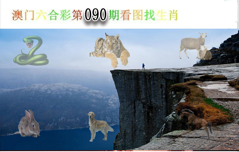 2025090期看图找生肖