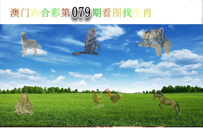 2025079期看图找生肖