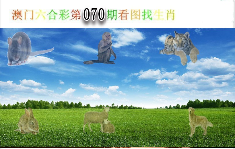2025070期看图找生肖