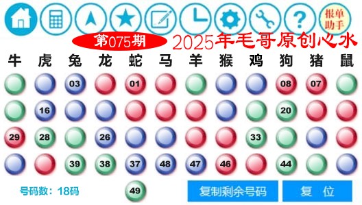 2025075期毛哥心水