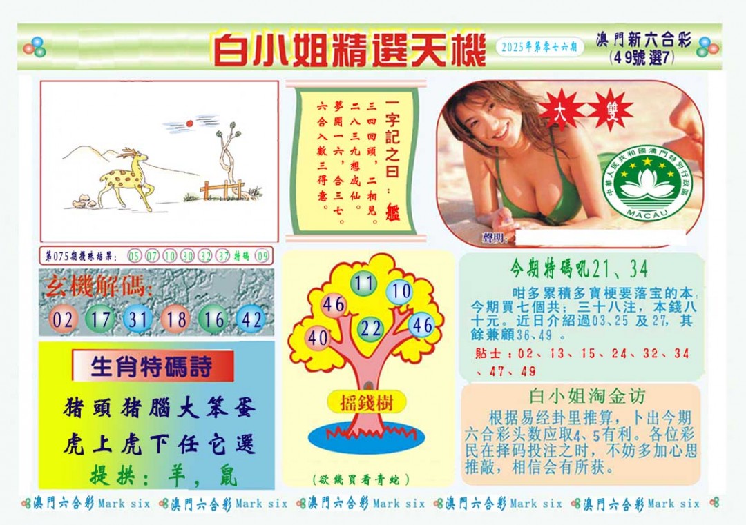 2025076期白小姐精选玄机A