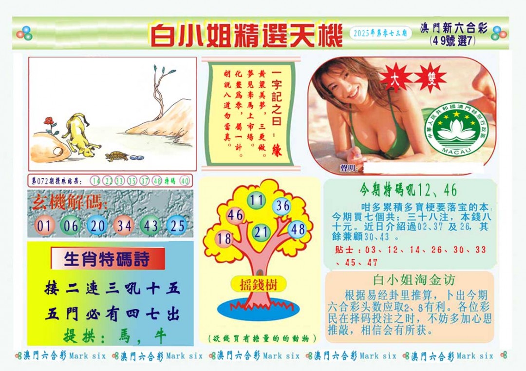 2025073期白小姐精选玄机A