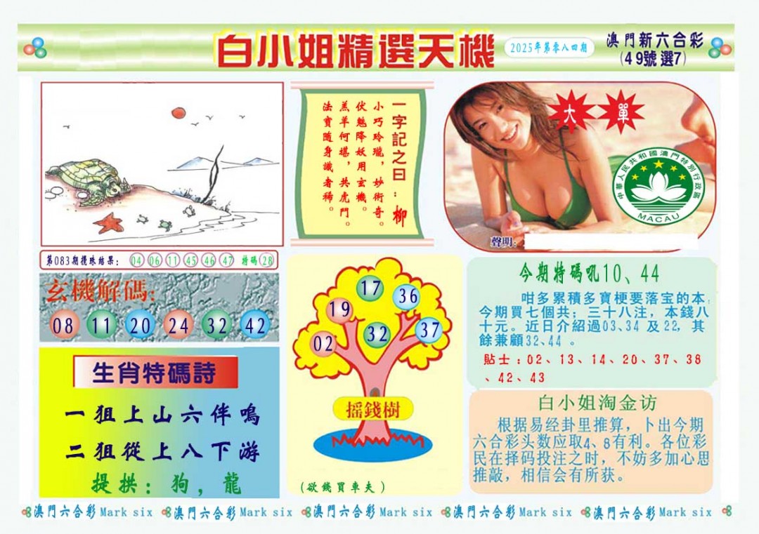 2025084期白小姐精选玄机A