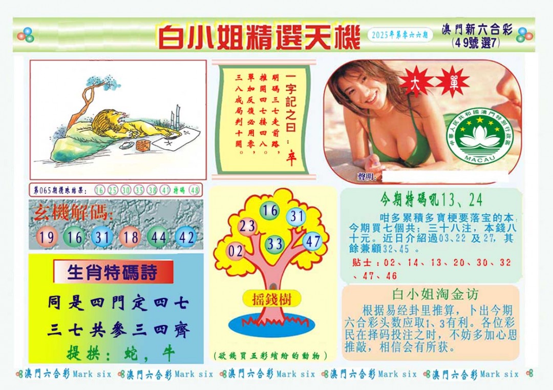 2025066期白小姐精选玄机A
