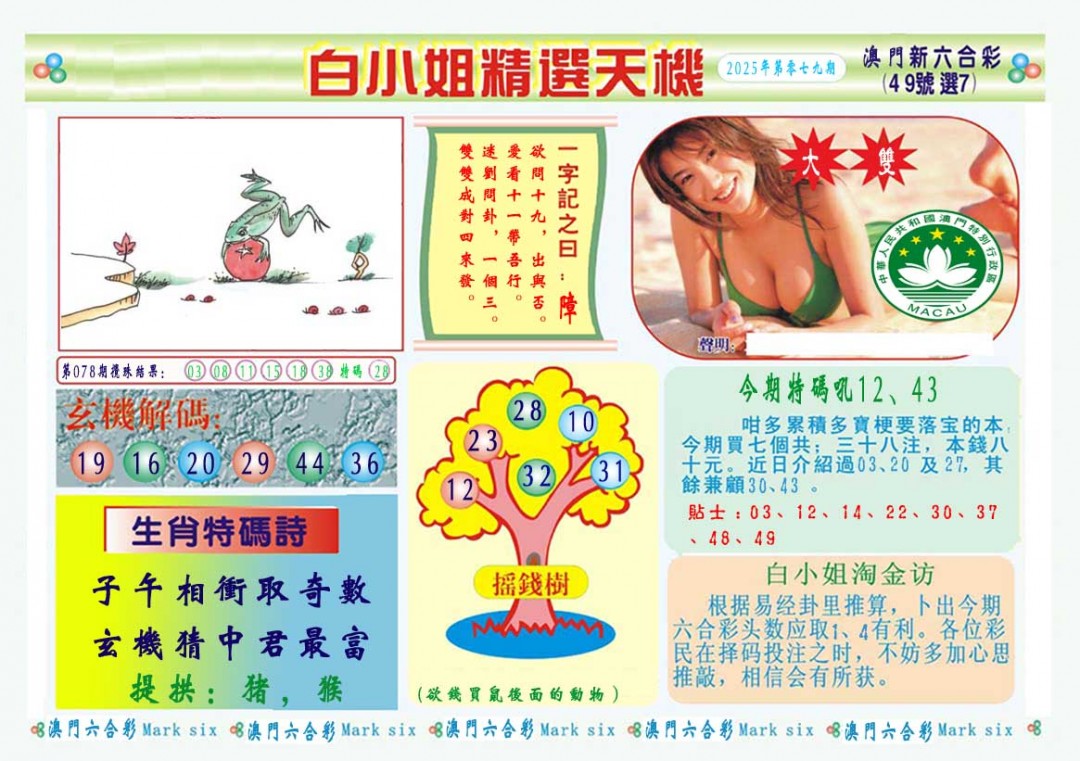 2025079期白小姐精选玄机A
