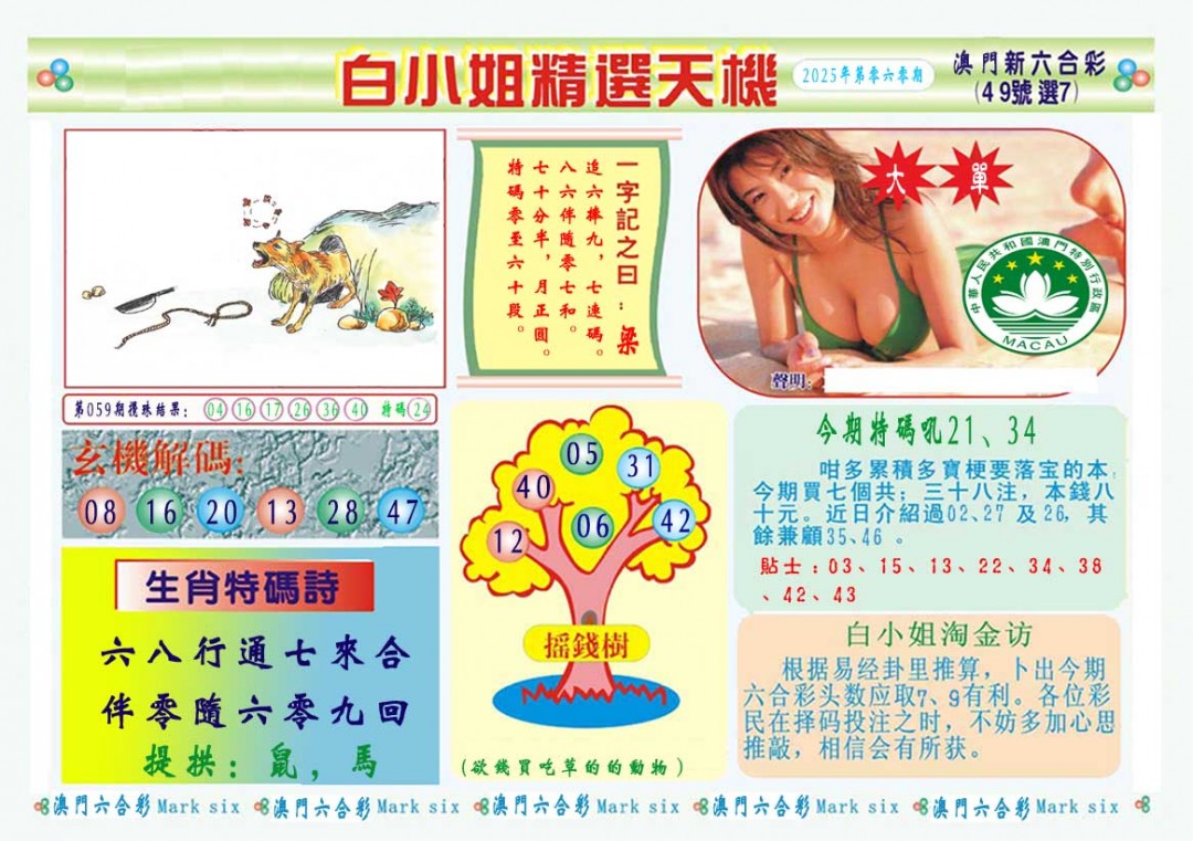 2025060期白小姐精选玄机A