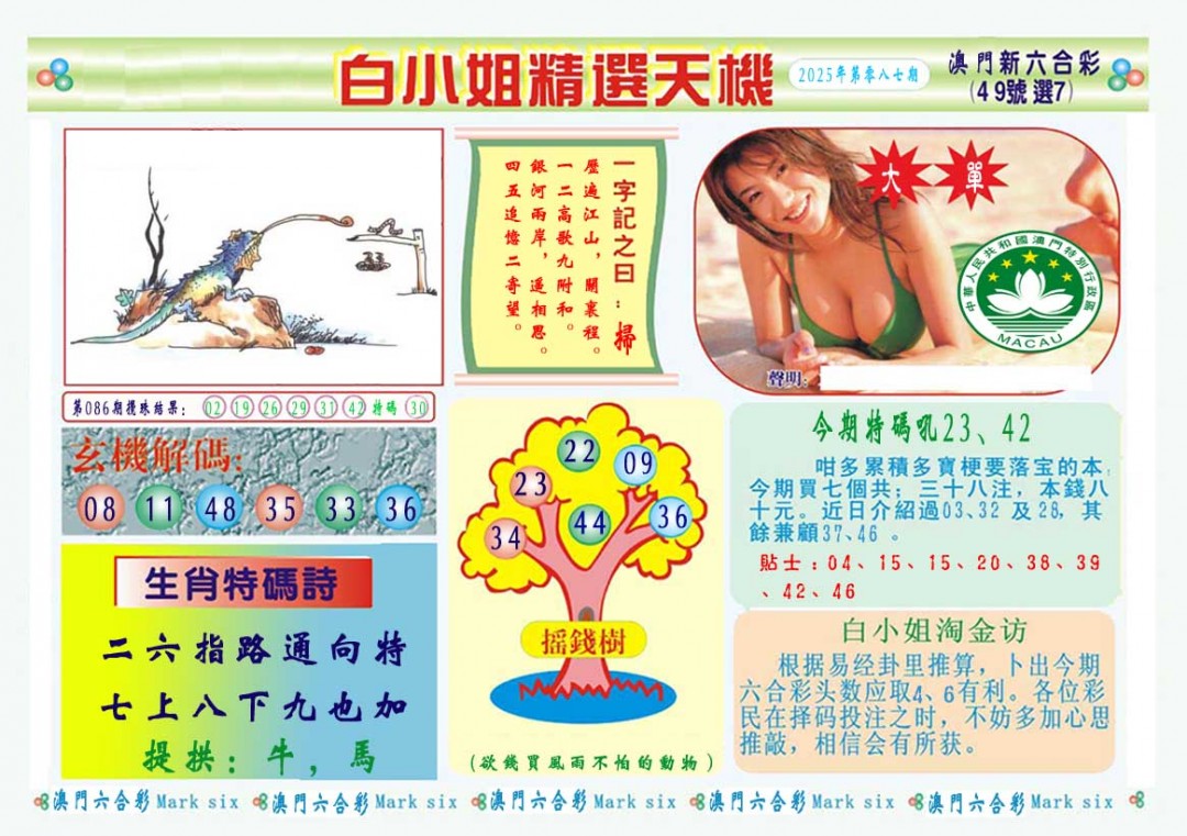 2025087期白小姐精选玄机A