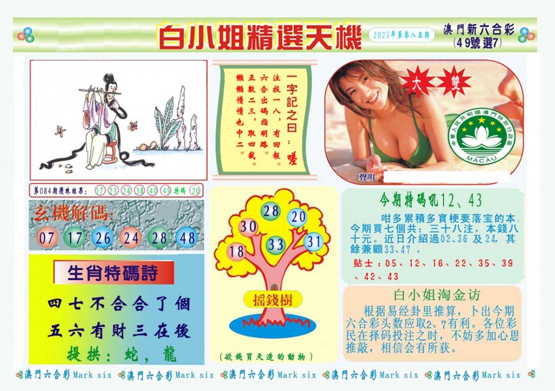 2025085期白小姐精选玄机A