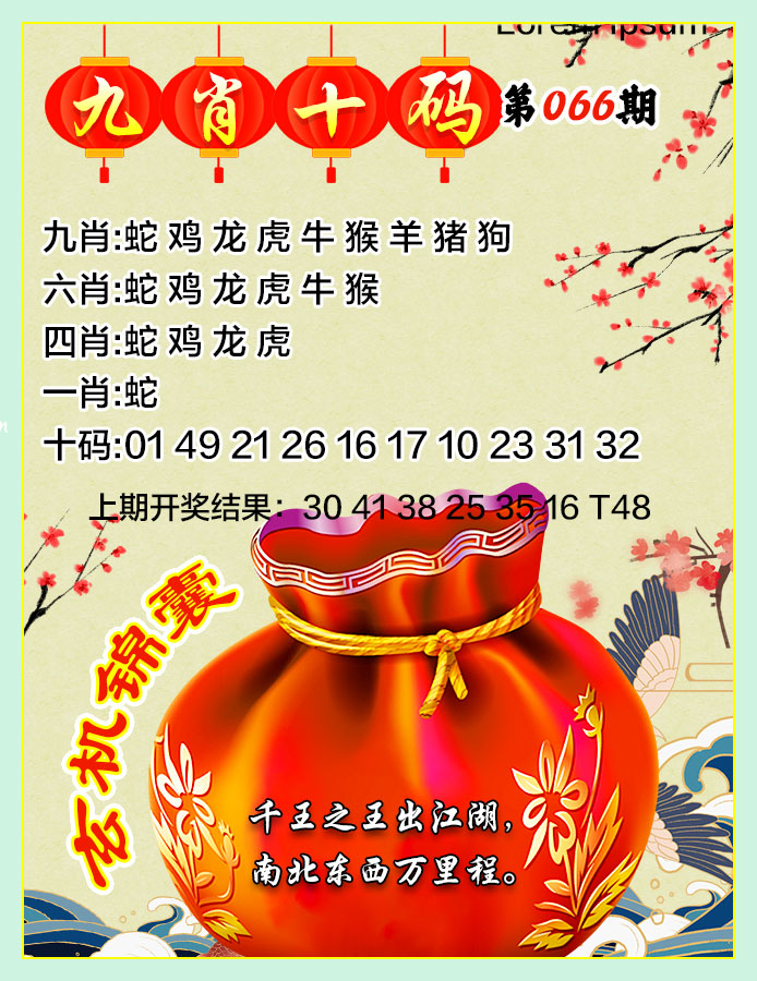 2025066期九肖十码