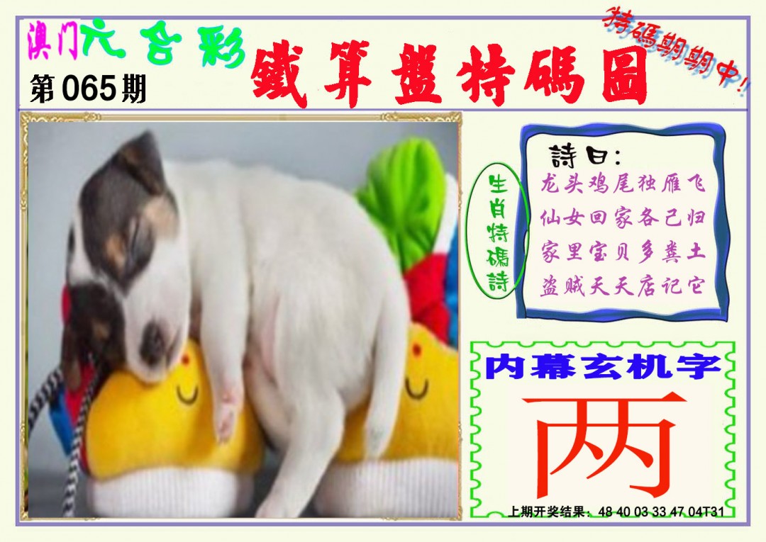 2025065期铁算盘特码图