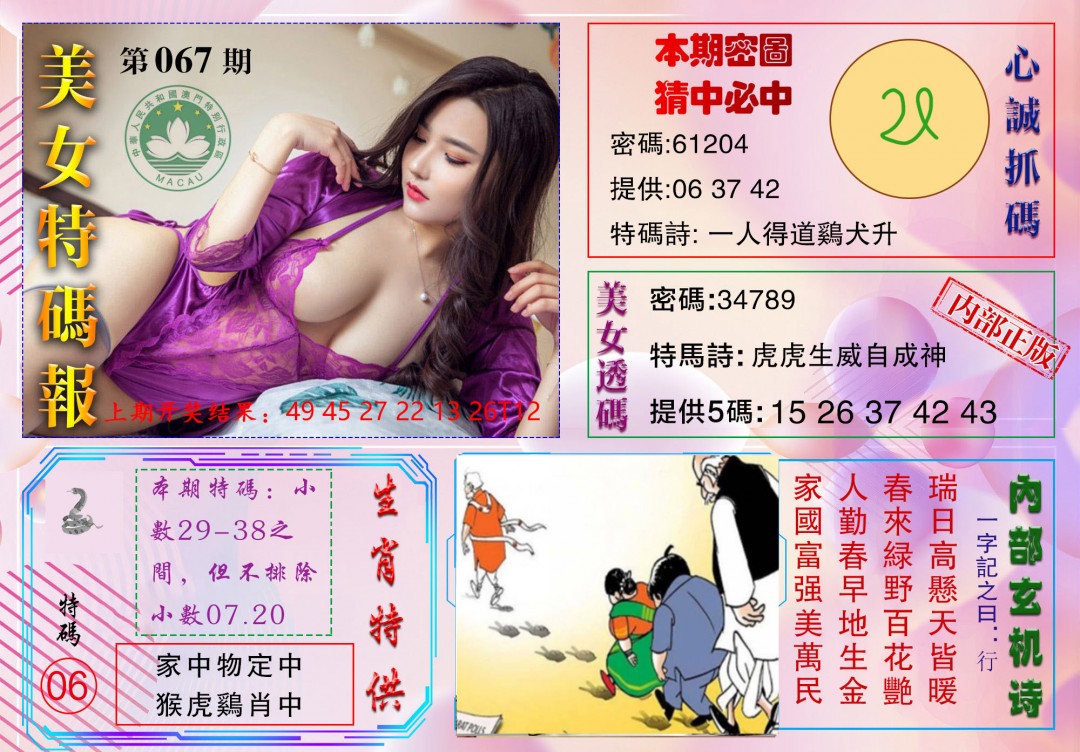 2025067期美女特码报