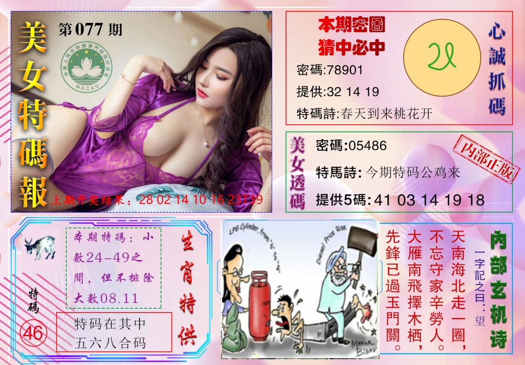 2025077期美女特码报