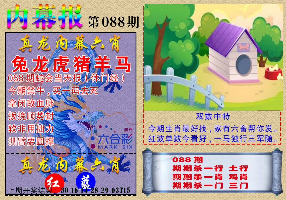 2025088期真龙内幕报