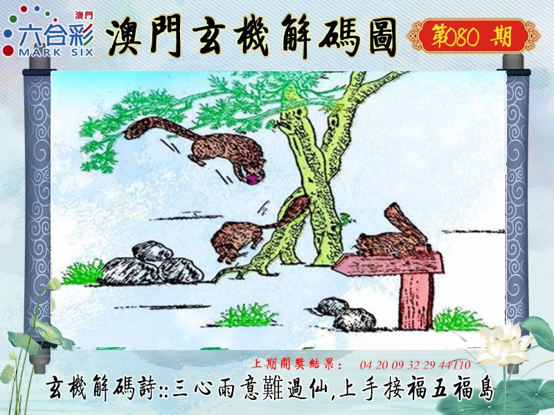 2025080期玄机解码图
