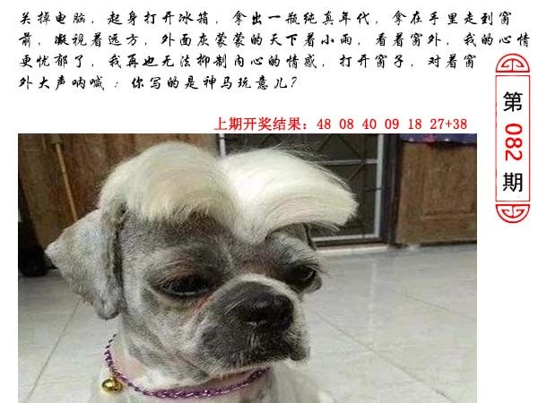 2025082期澳门生活幽默