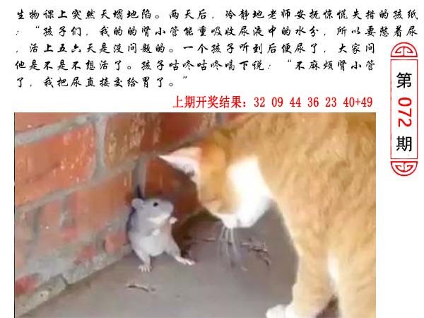 2025072期澳门生活幽默