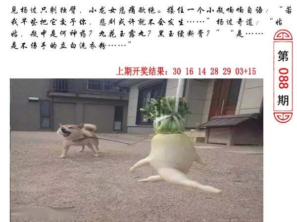2025088期澳门生活幽默