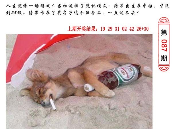 2025087期澳门生活幽默