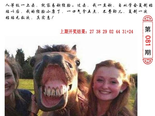 2025081期澳门生活幽默