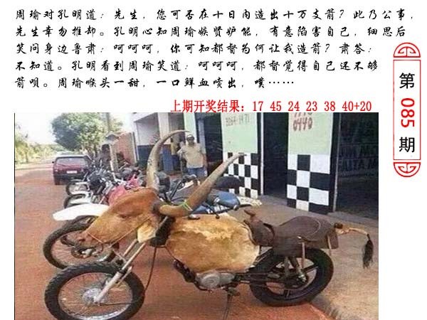 2025085期澳门生活幽默