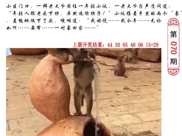 2025070期澳门生活幽默