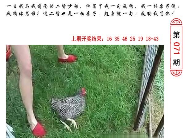 2025071期澳门生活幽默