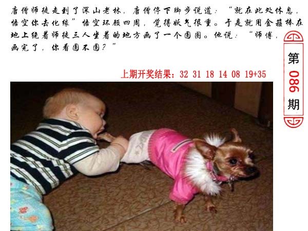 2025086期澳门生活幽默