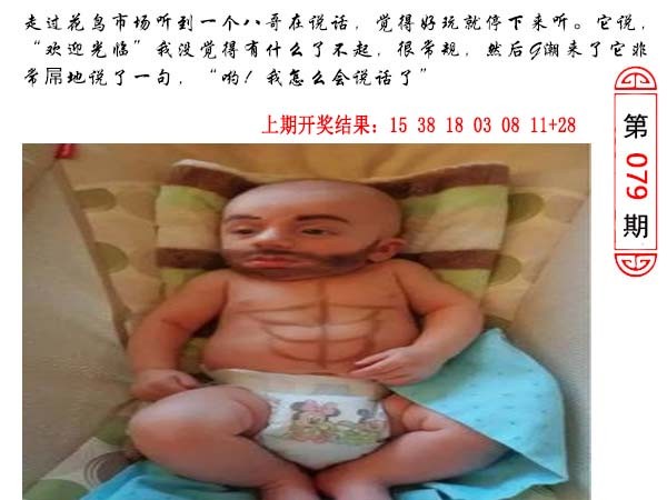 2025079期澳门生活幽默