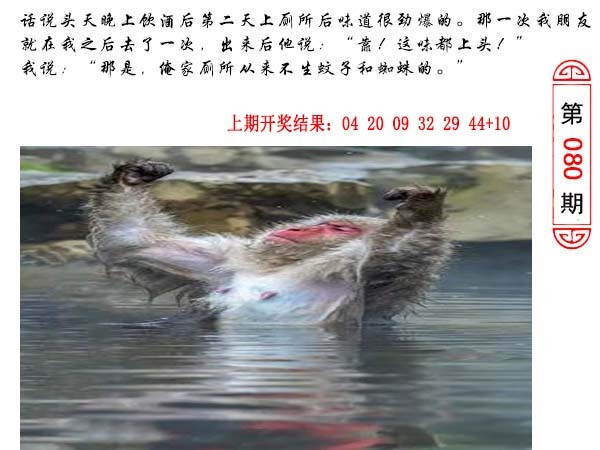 2025080期澳门生活幽默