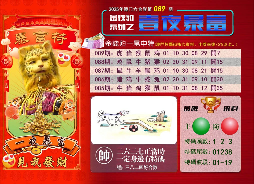 2025089期一夜暴富