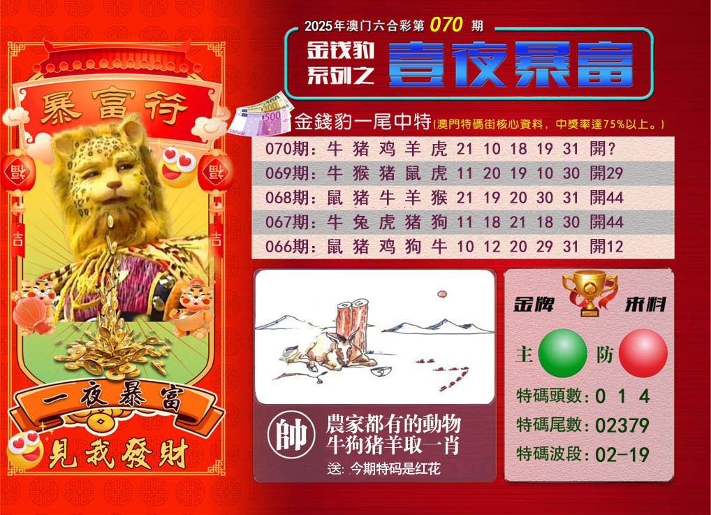 2025070期一夜暴富