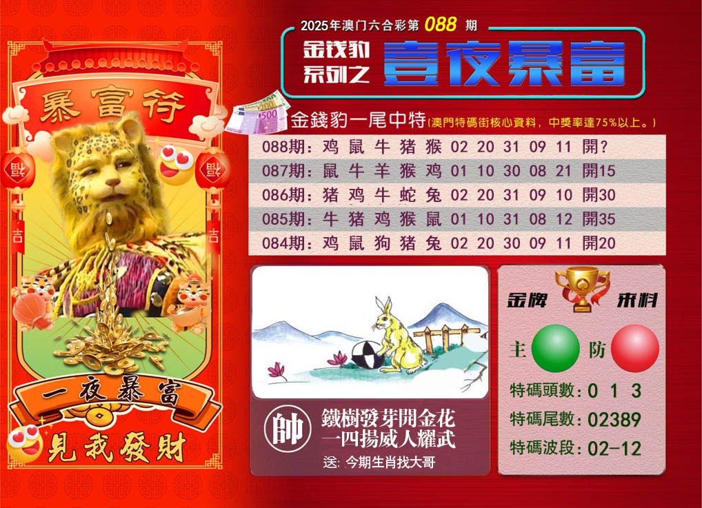 2025088期一夜暴富