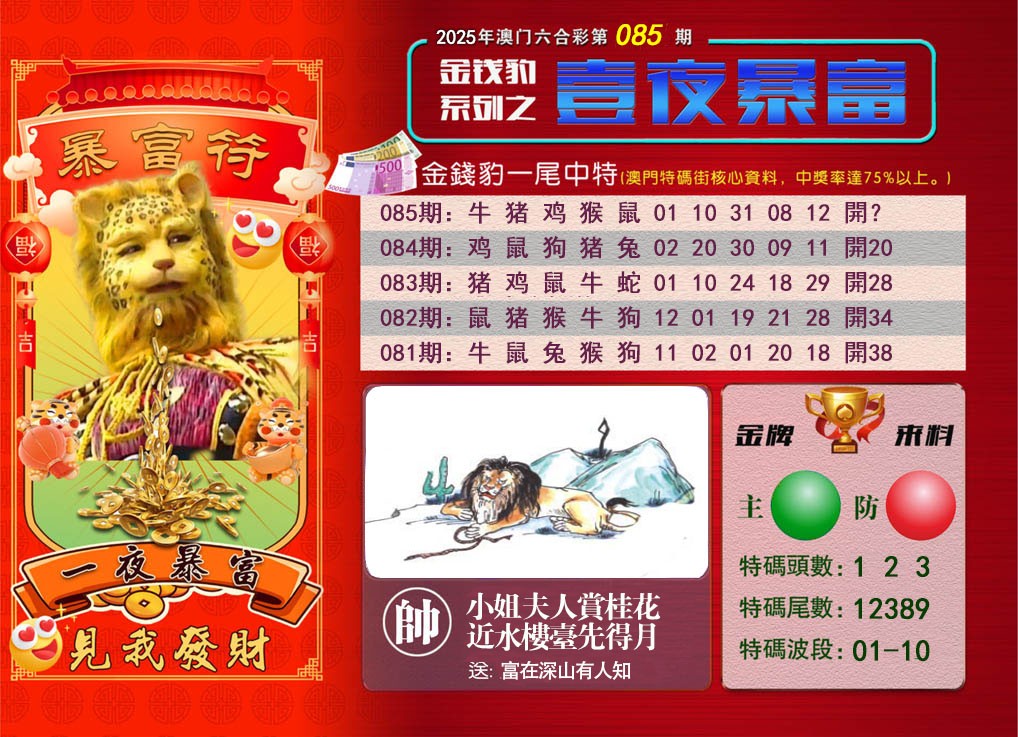 2025085期一夜暴富